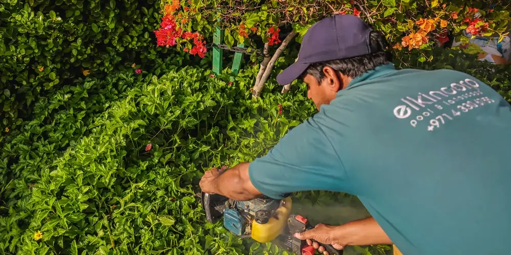 Garden Maintenance